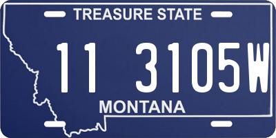 MT license plate 113105W