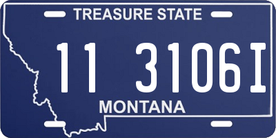 MT license plate 113106I