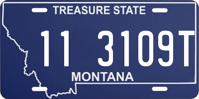 MT license plate 113109T