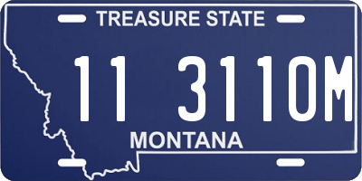 MT license plate 113110M