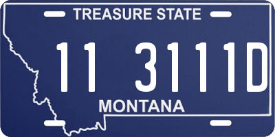 MT license plate 113111D