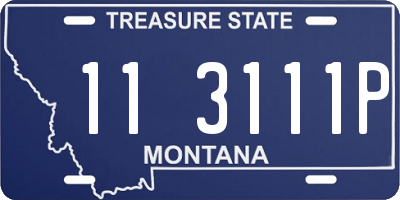 MT license plate 113111P