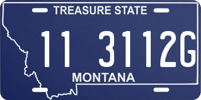MT license plate 113112G
