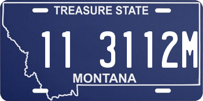 MT license plate 113112M