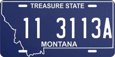 MT license plate 113113A