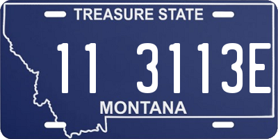 MT license plate 113113E