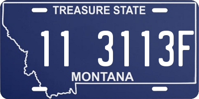 MT license plate 113113F