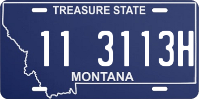 MT license plate 113113H