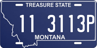 MT license plate 113113P