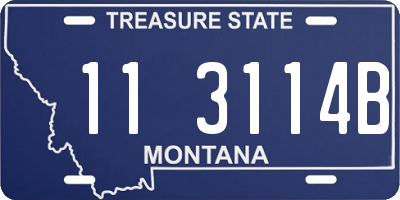 MT license plate 113114B