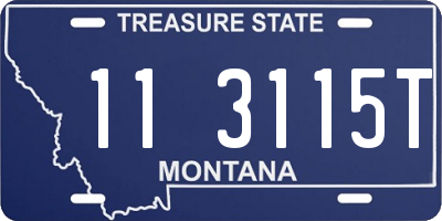 MT license plate 113115T