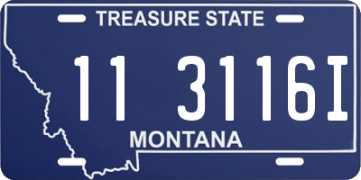 MT license plate 113116I