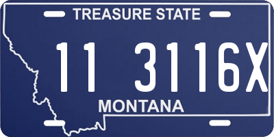 MT license plate 113116X
