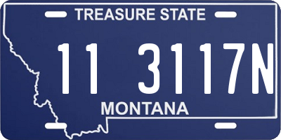 MT license plate 113117N