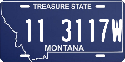 MT license plate 113117W