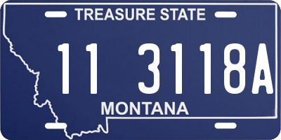MT license plate 113118A