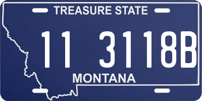 MT license plate 113118B