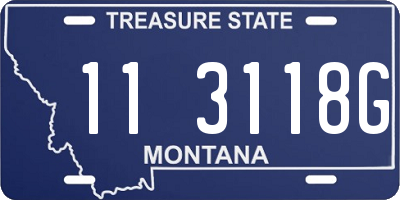 MT license plate 113118G