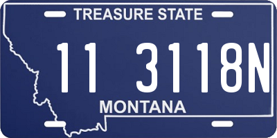 MT license plate 113118N