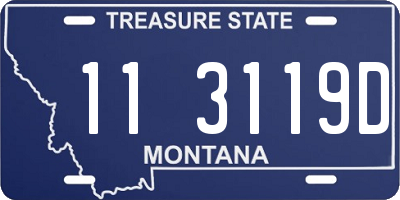 MT license plate 113119D