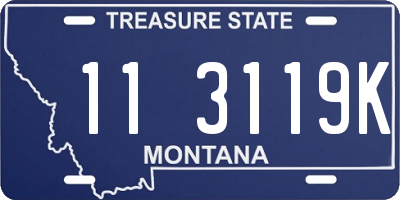 MT license plate 113119K