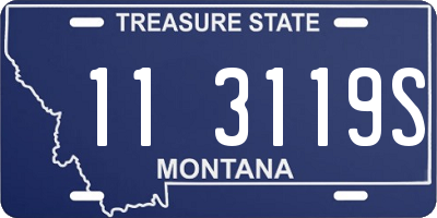MT license plate 113119S