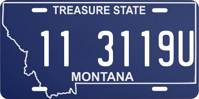 MT license plate 113119U