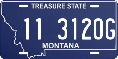 MT license plate 113120G