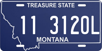 MT license plate 113120L