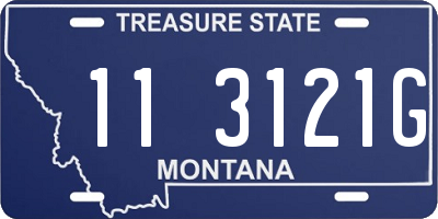 MT license plate 113121G