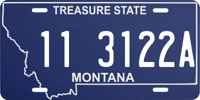 MT license plate 113122A