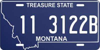 MT license plate 113122B