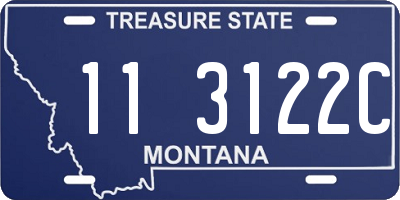 MT license plate 113122C