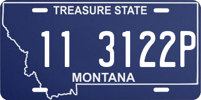 MT license plate 113122P
