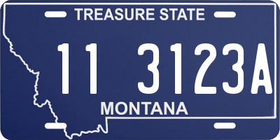 MT license plate 113123A