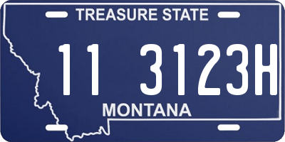 MT license plate 113123H