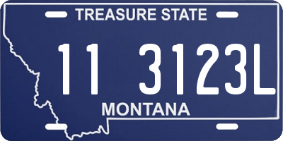 MT license plate 113123L