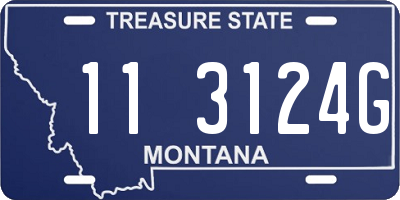 MT license plate 113124G