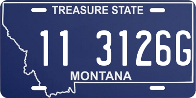 MT license plate 113126G
