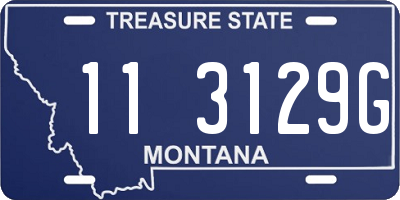 MT license plate 113129G