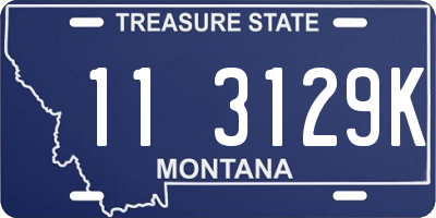 MT license plate 113129K