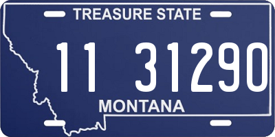 MT license plate 113129O