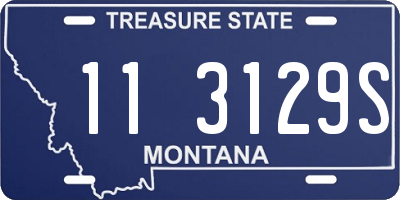 MT license plate 113129S