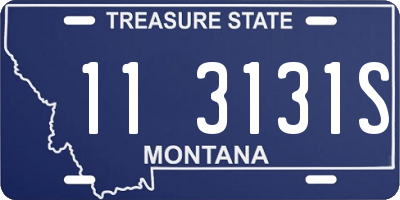 MT license plate 113131S