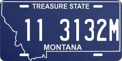 MT license plate 113132M