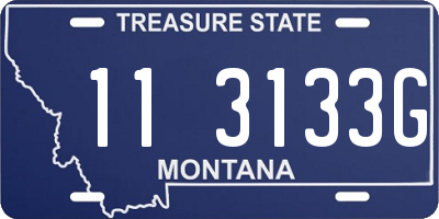 MT license plate 113133G
