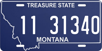 MT license plate 113134O