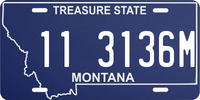 MT license plate 113136M