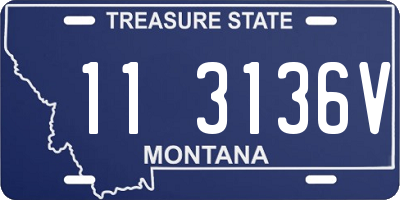 MT license plate 113136V