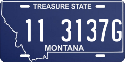 MT license plate 113137G